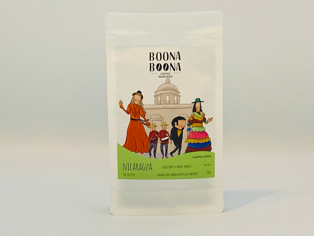 250g bag of Nicaragua Los Cielitos speciality artisan coffee beans roasted by Bristol coffee roaster